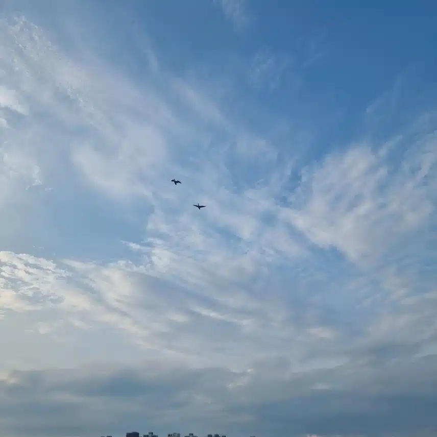 하늘