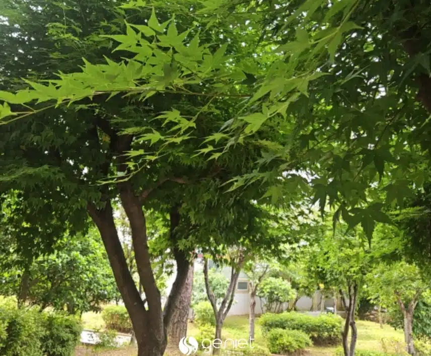 오전 건강한 산책길 🏃