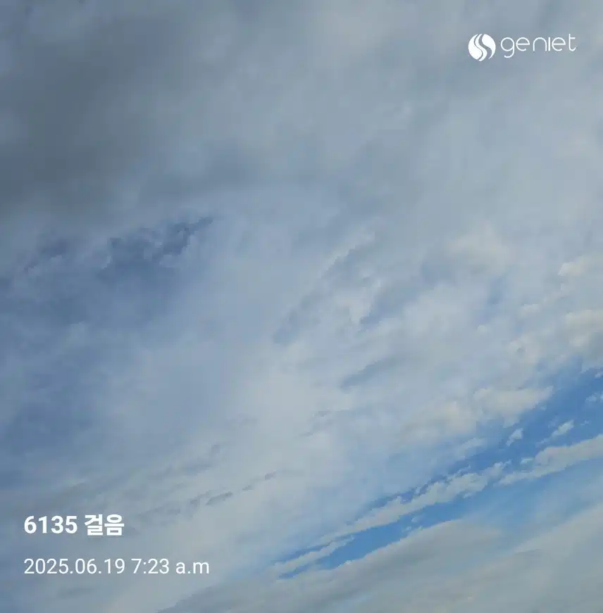 오전 건강한 산책길 🏃