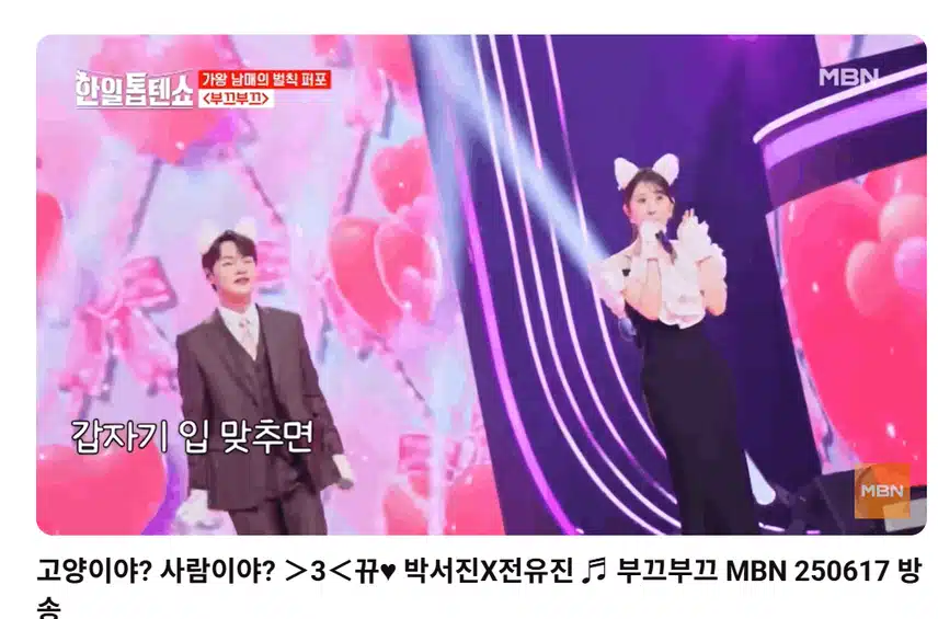 두 고양이 너무 귀엽잖아요 
