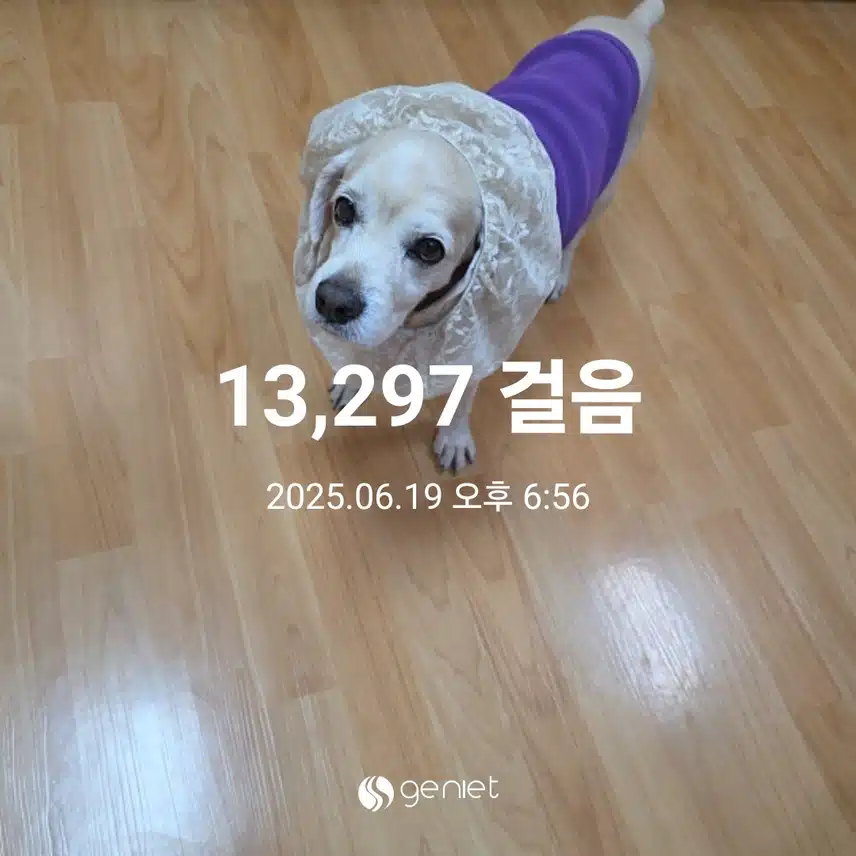 목요일 마무리 