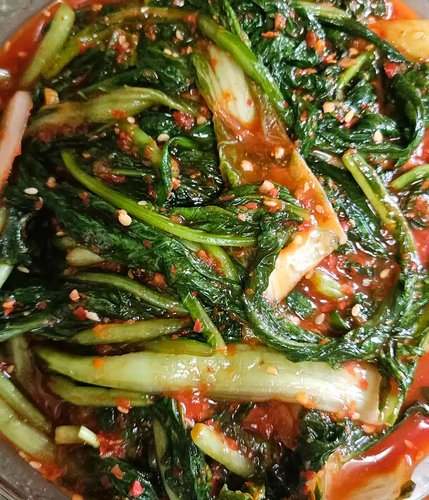 열무김치와 계란 후라이 비벼 볼께요! 🌿🍳