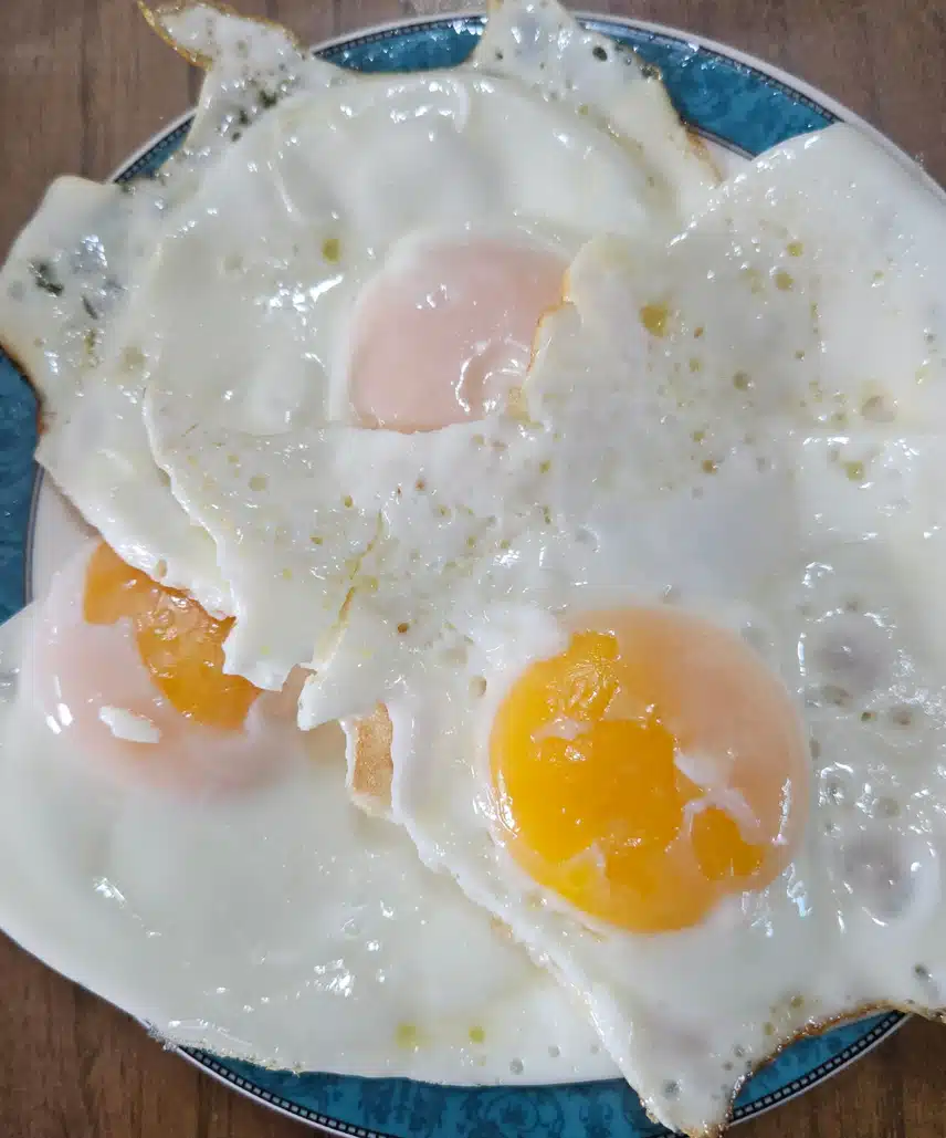 열무김치와 계란 후라이 비벼 볼께요! 🌿🍳