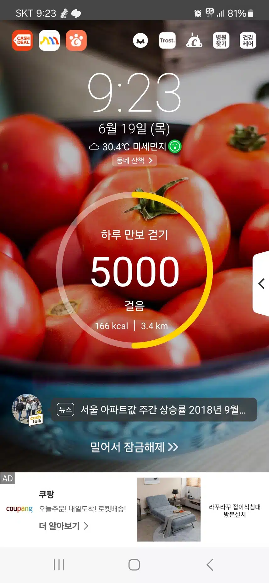 오늘은 5천보 걷기 입니다.