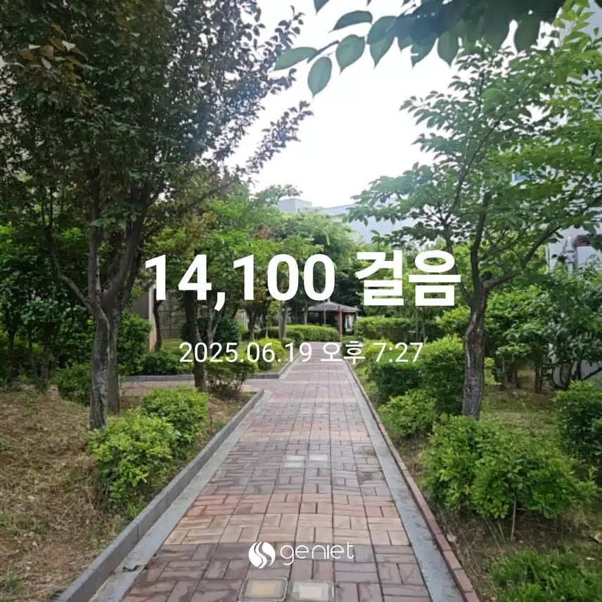 🏃산책하고 마무리합니다.🫡