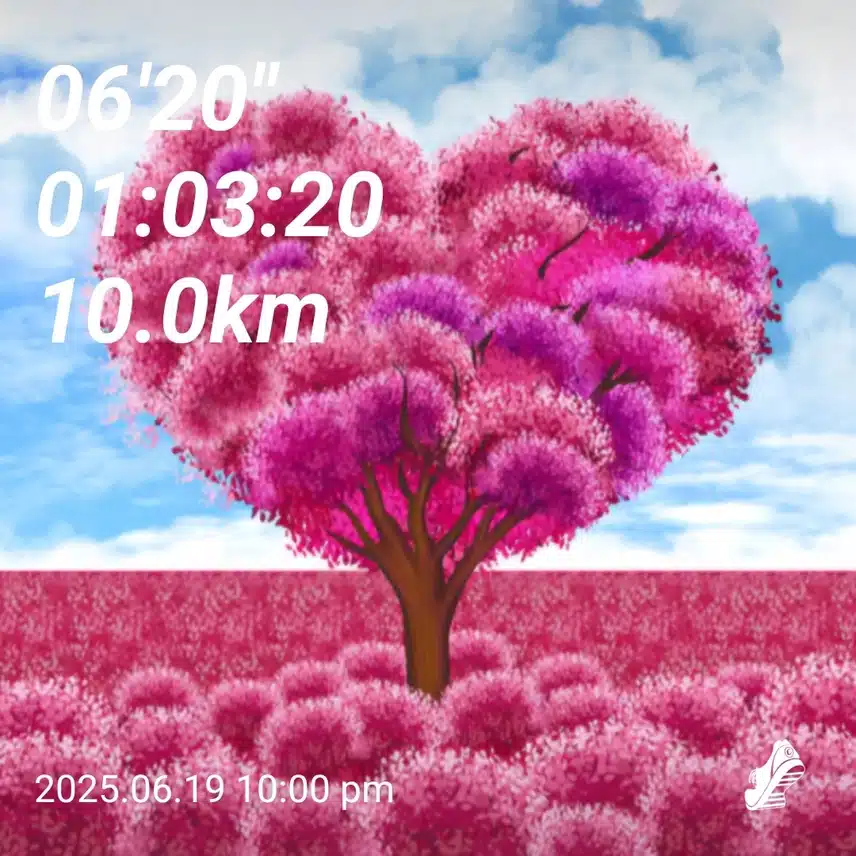 사랑으로 10km 달려 봅니다💗