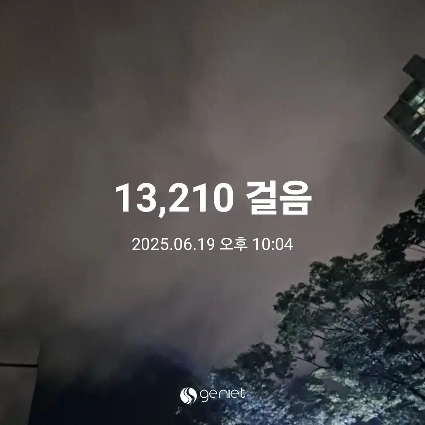 만보 걷고 자귀나무 꽃도 봤어요