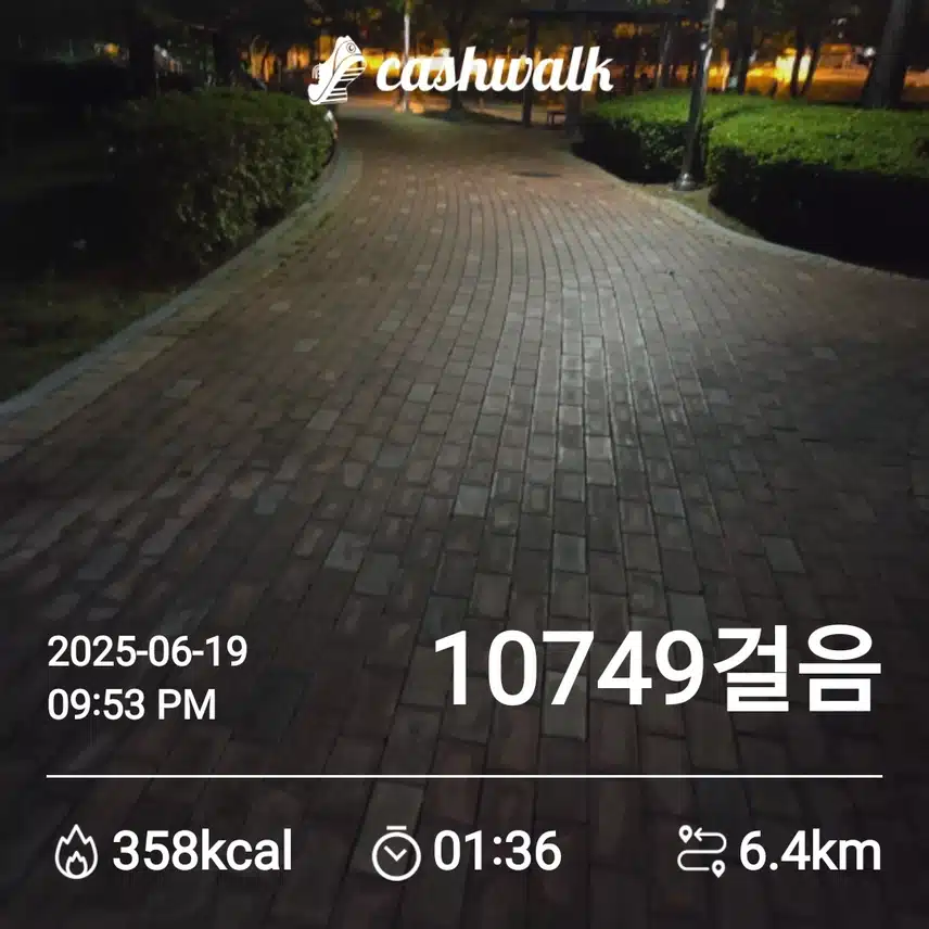 만보걷기를....