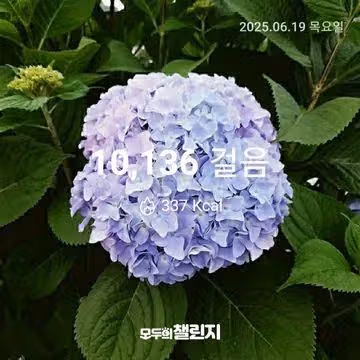 6월 19일 만보 완주 