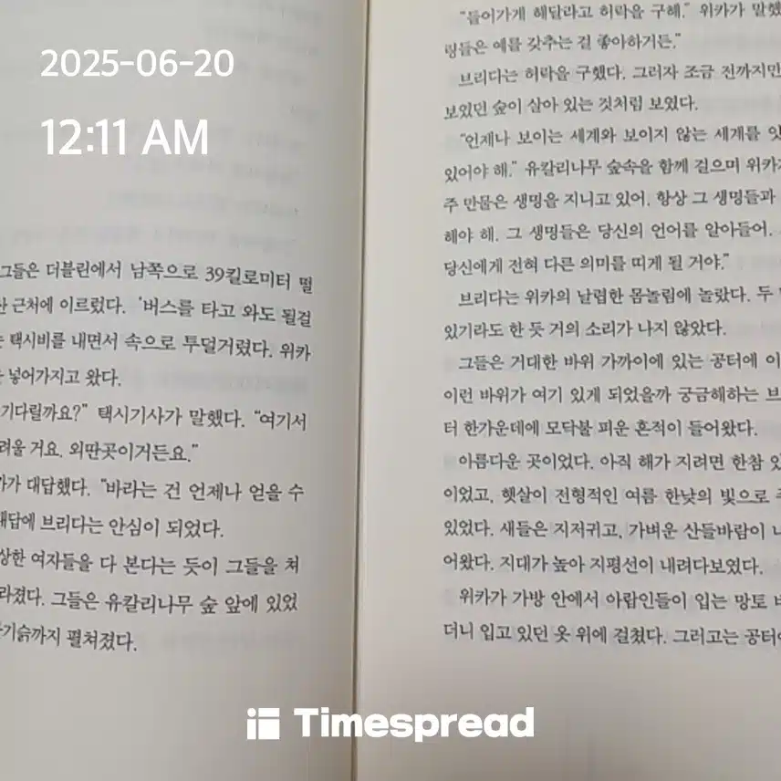 독서 살짝