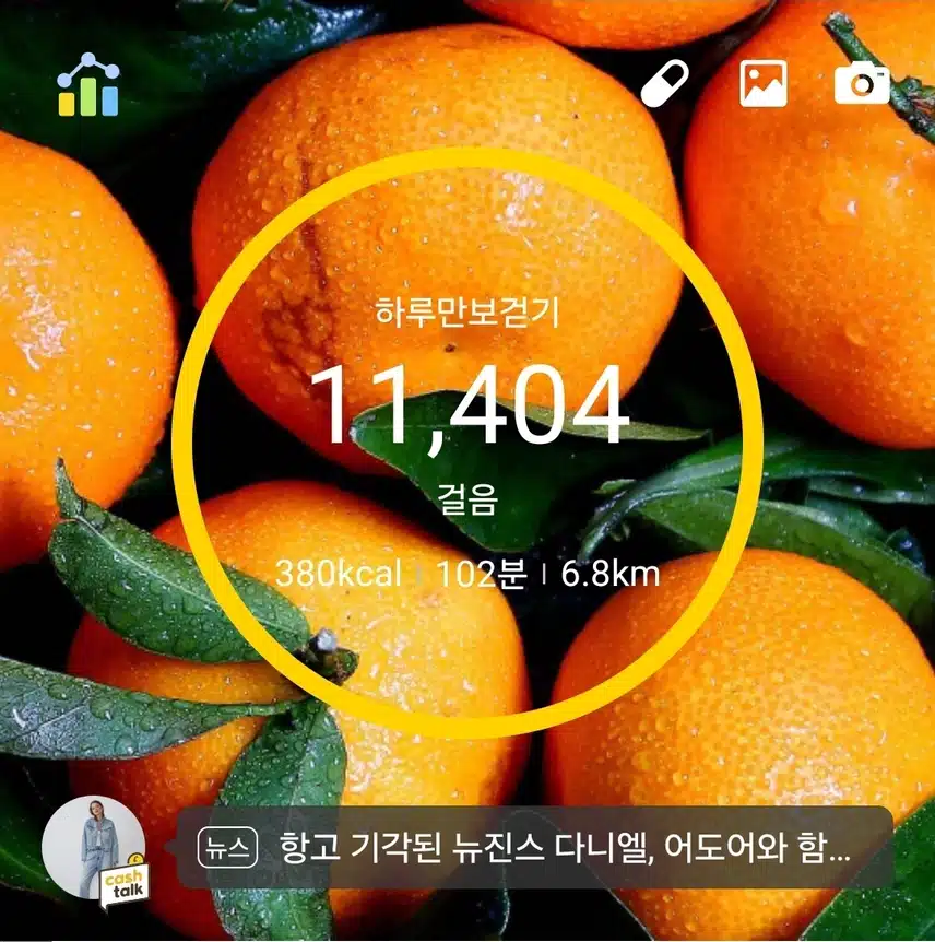 목욜 만보걷기~