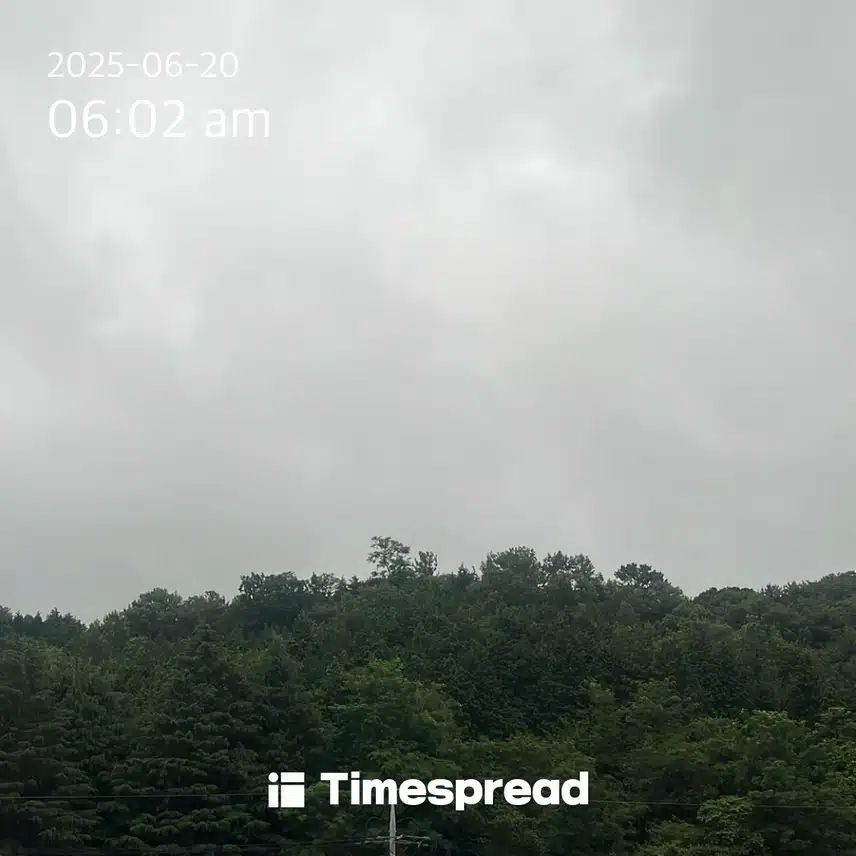 하늘보기