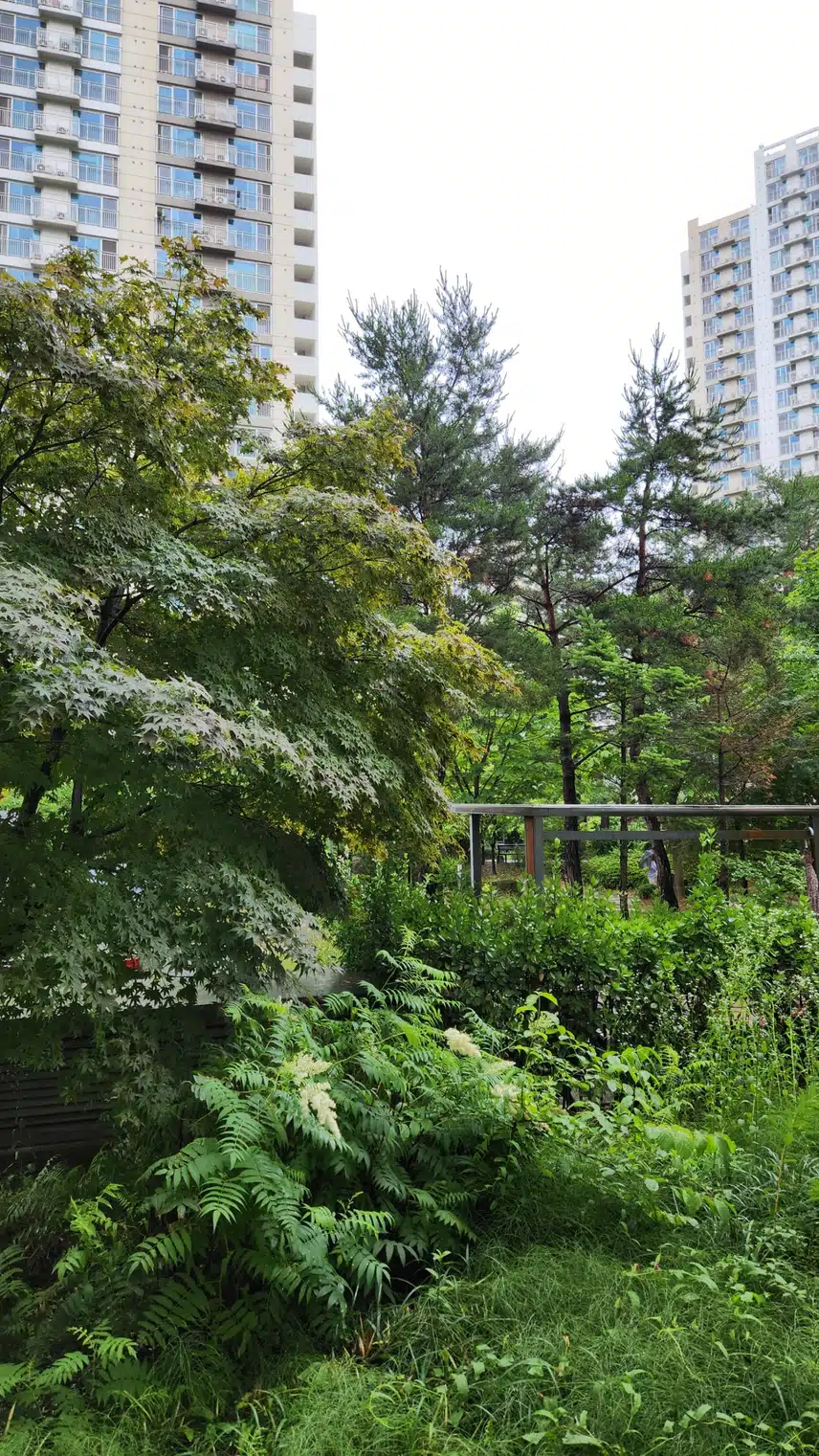 비오는 금요일