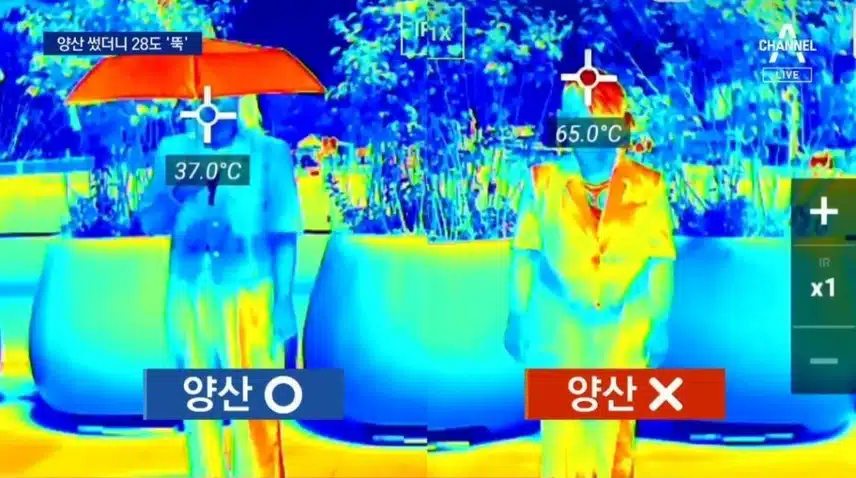 우산도 양산만큼 자외선을 차단할까?