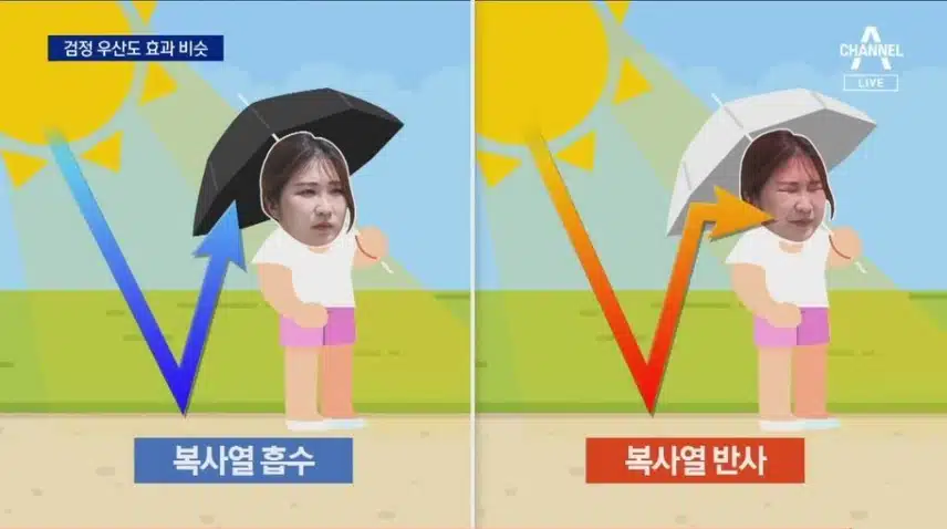 우산도 양산만큼 자외선을 차단할까?