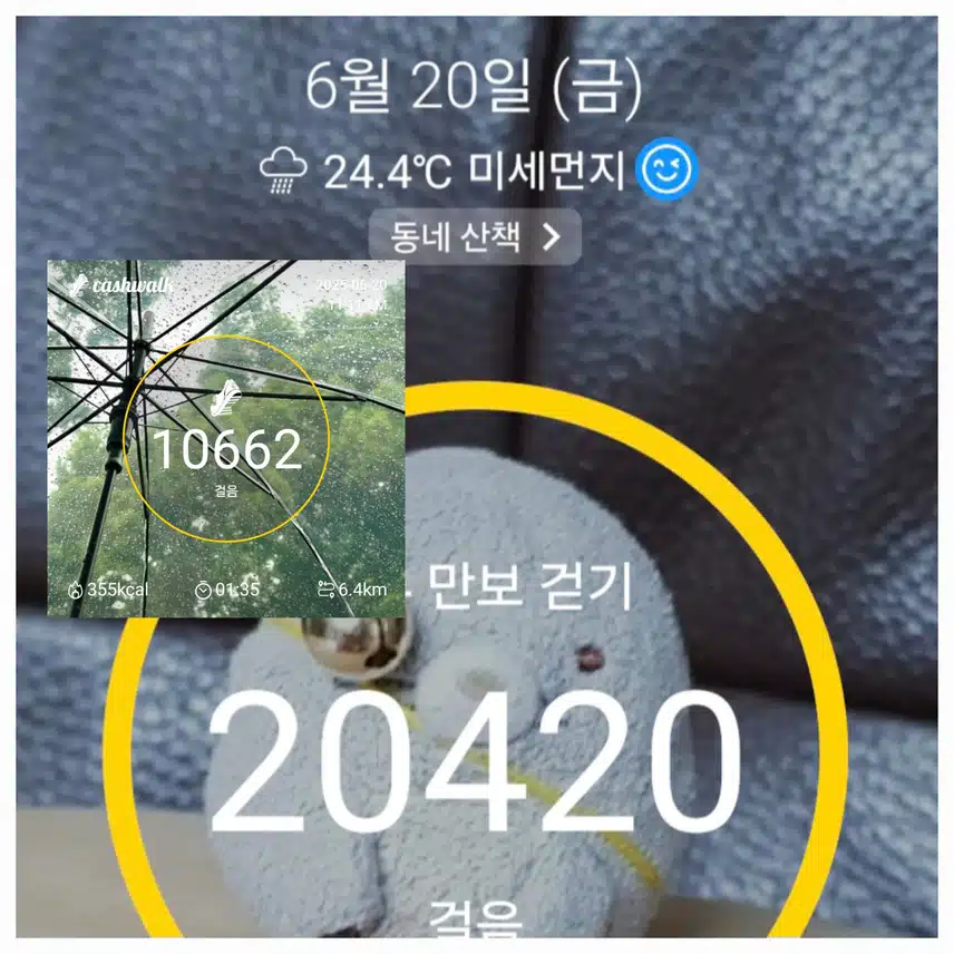 바람시원한데..☔️비가~ 만보걷기 완료 했어요 ~🤪