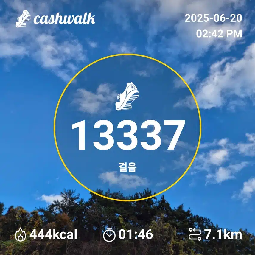 만보인증