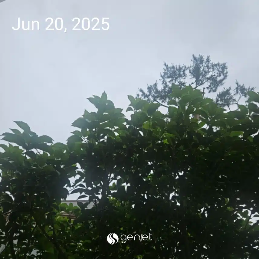 오전 산책으로 🏃‍♂️