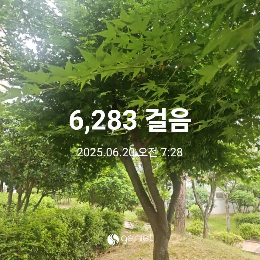 오전 산책으로 🏃‍♂️