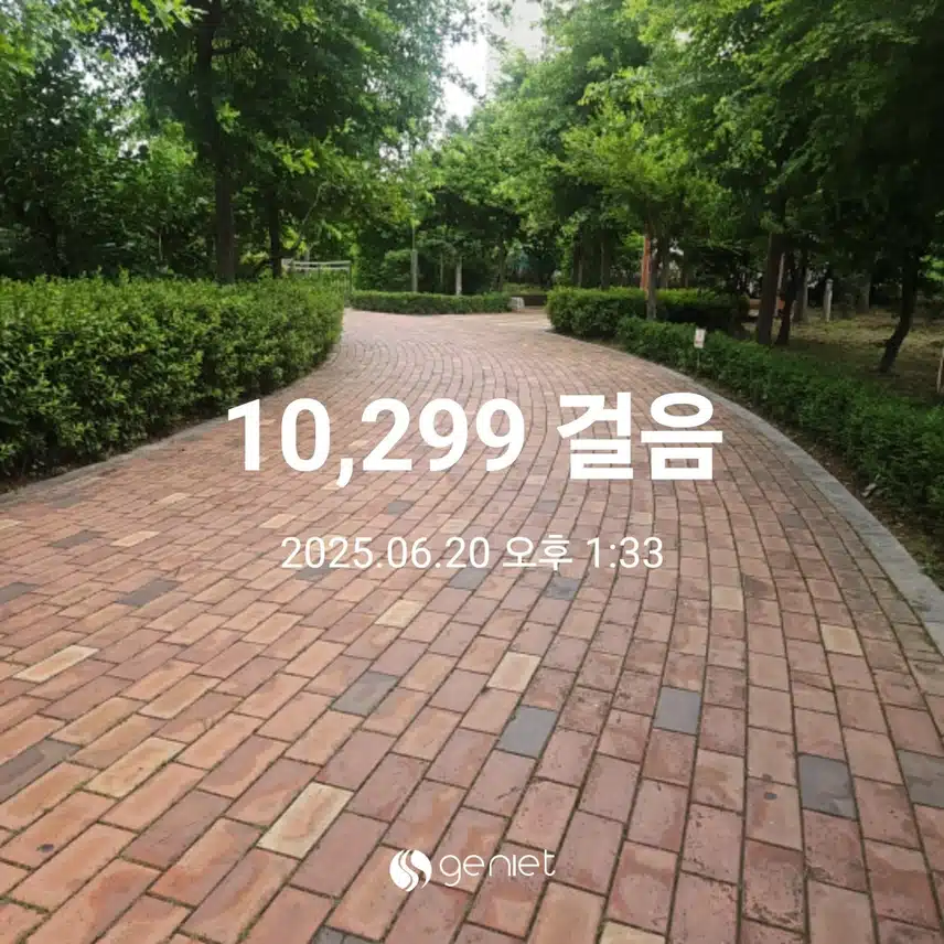 점심후 걷기와 스텝업으로 🏃‍♂️