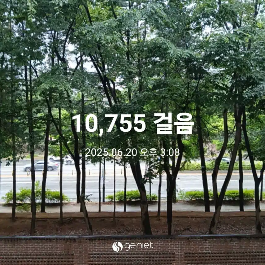금요일 걷기운동^^