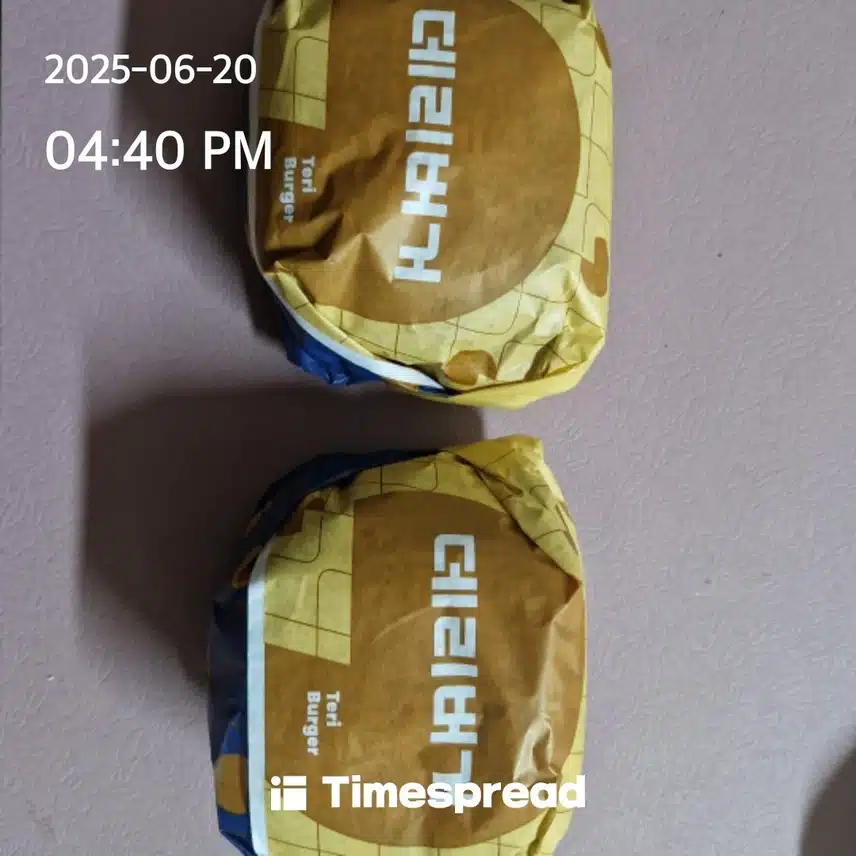 고양이가 물고온 햄버거