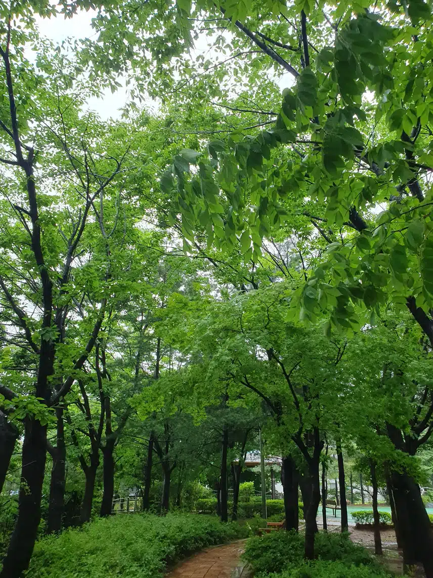 빗속에서~♤