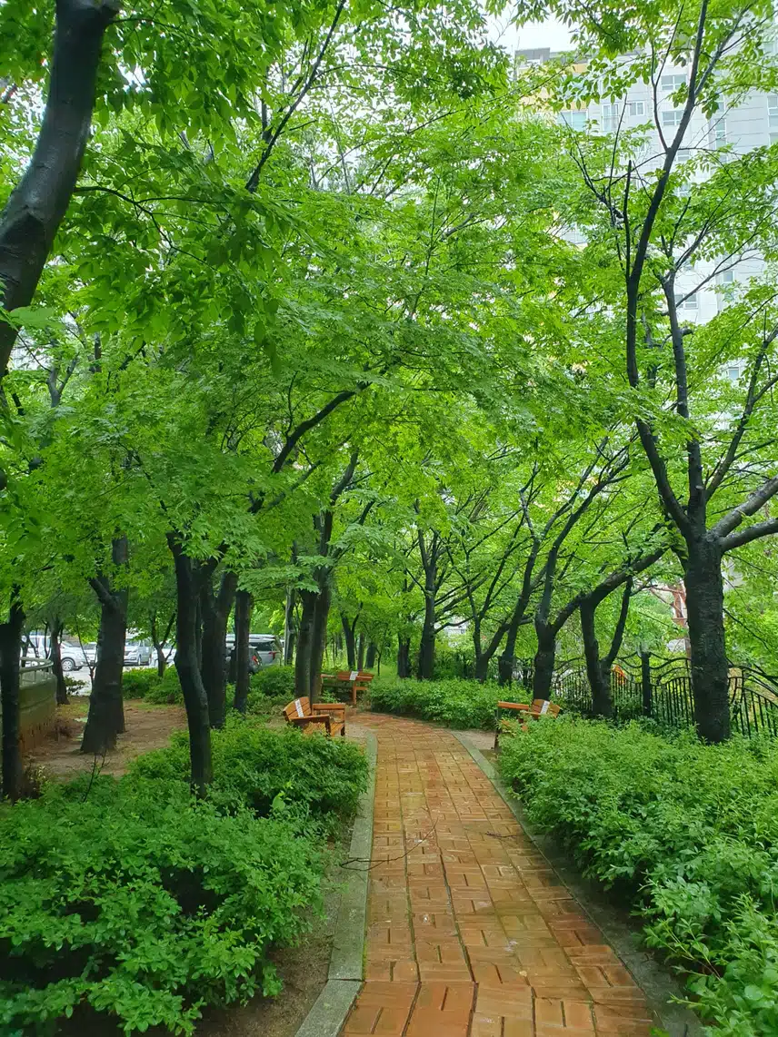 빗속에서~♤