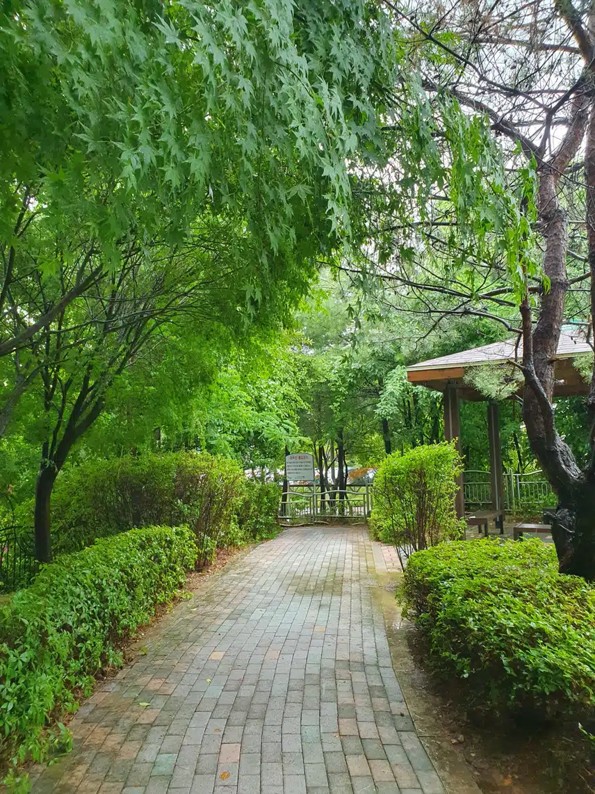 빗속에서~♤