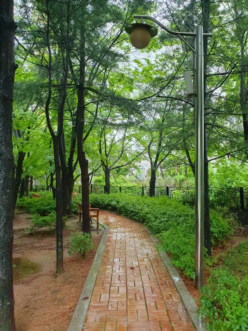 빗속에서~♤