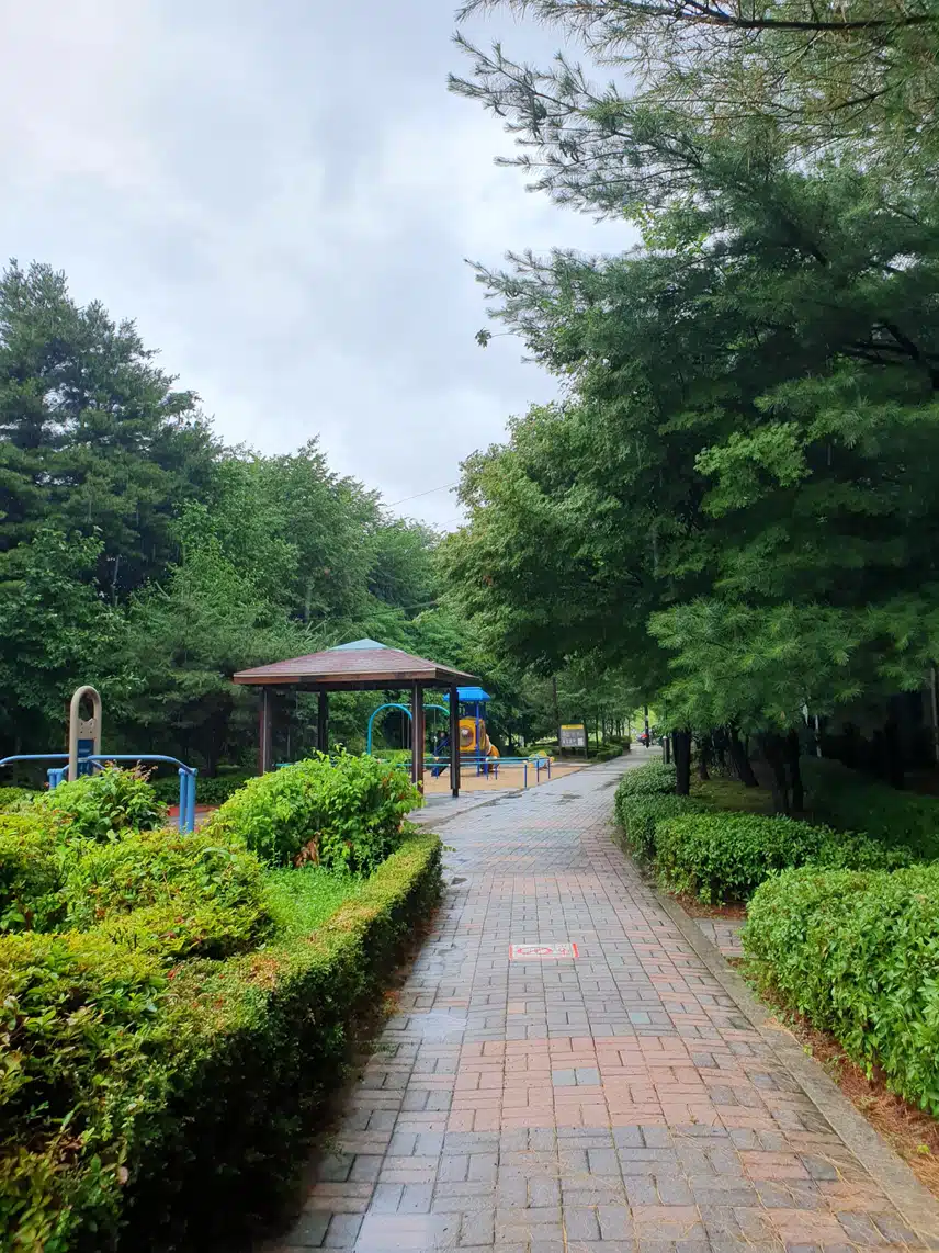 빗속에서~♤