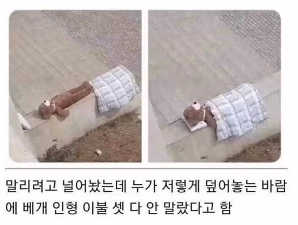 친절이 부른 참사