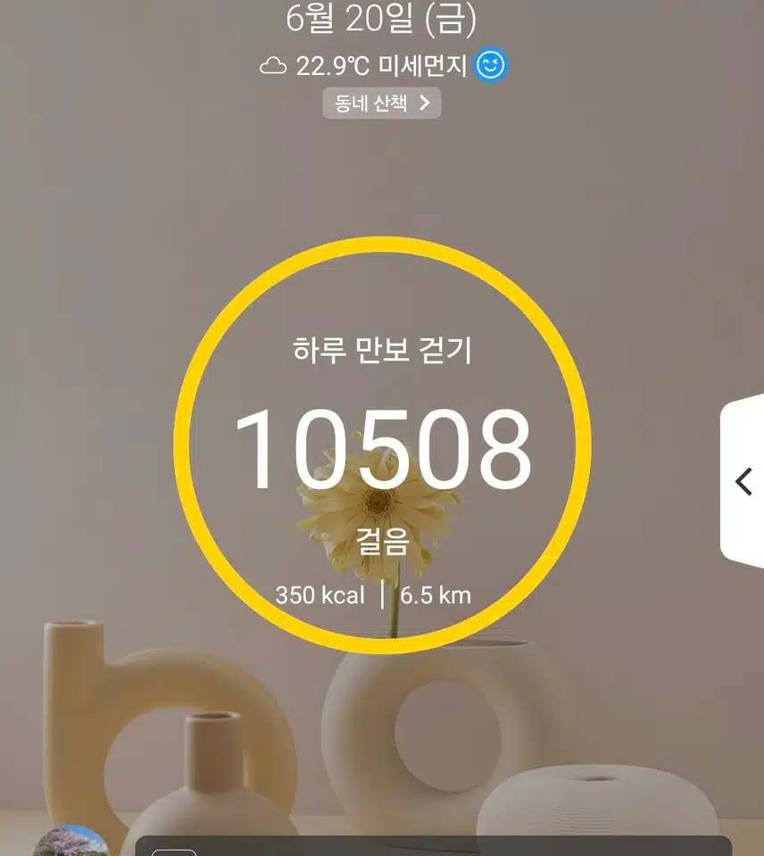 1만보 걷기 운동
