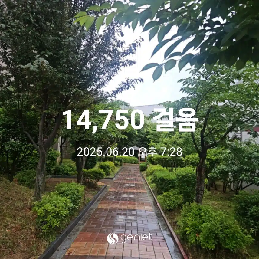저녁산책으로 시원하네요.🏃‍♂️🏃‍♂️🏃