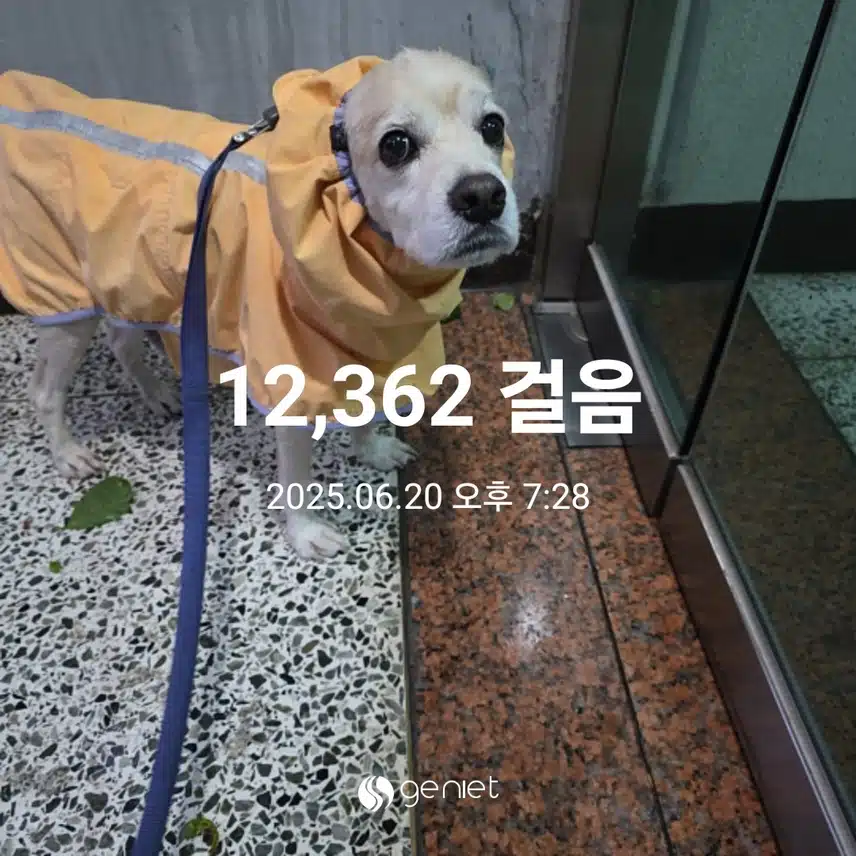금요일 마무리 