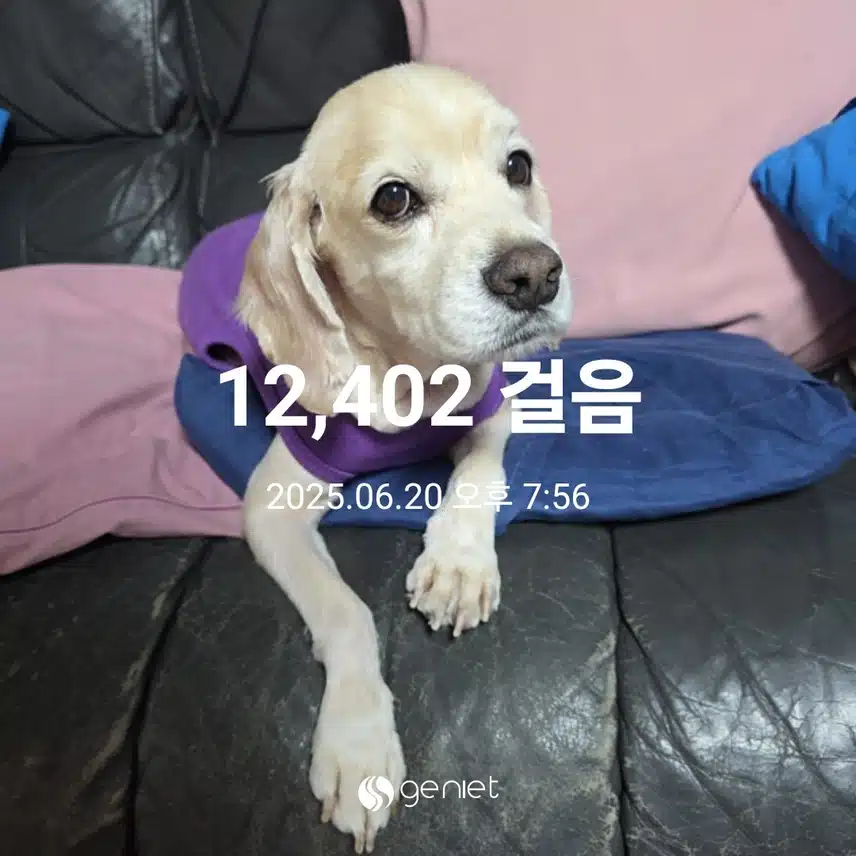 금요일 마무리 