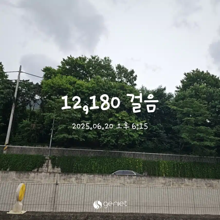만보 인증