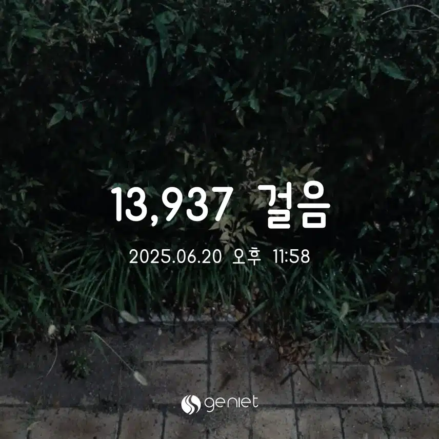 6.20 만보 