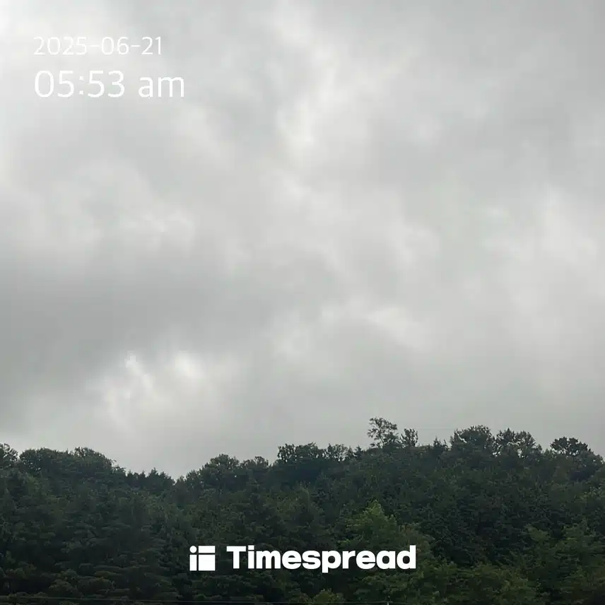 좋은아침입니다