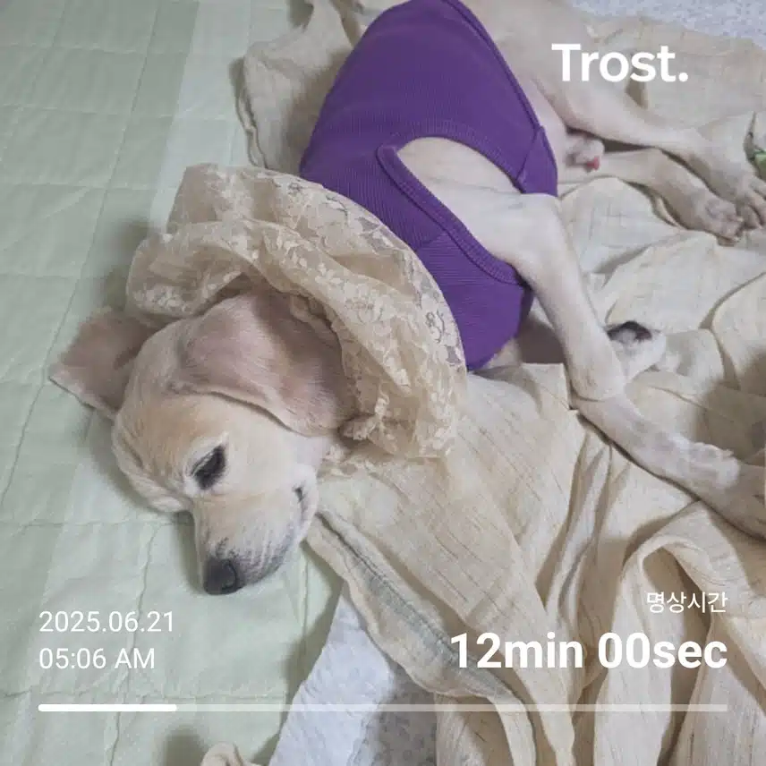 토요일 아침 