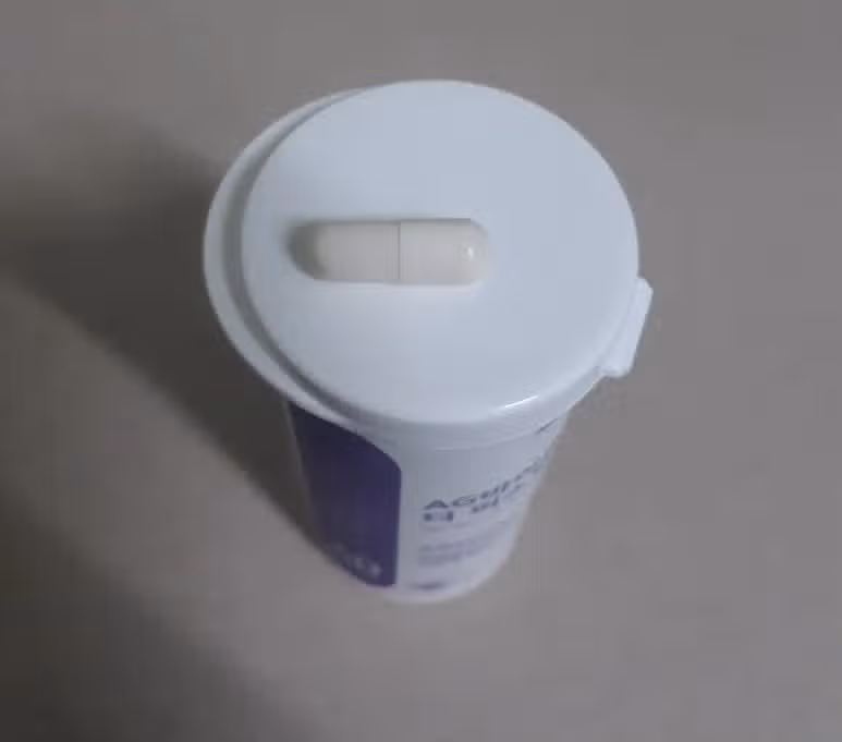 캡슐 유산균