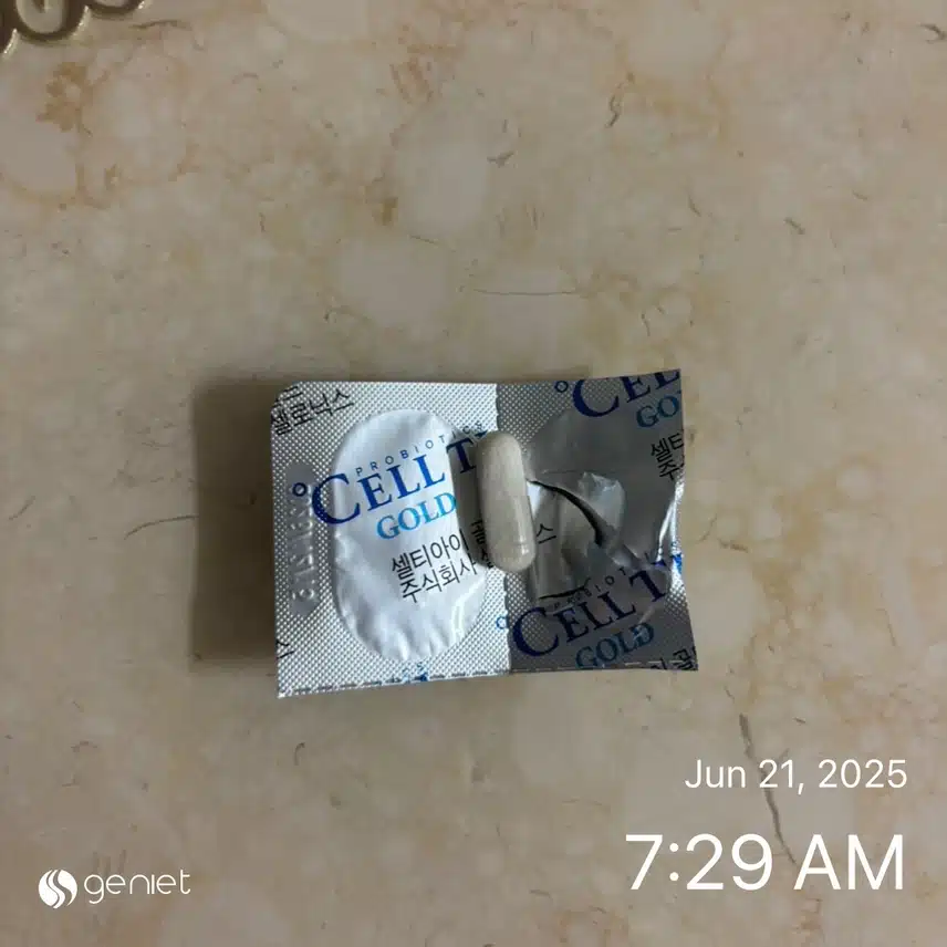 유산균💊