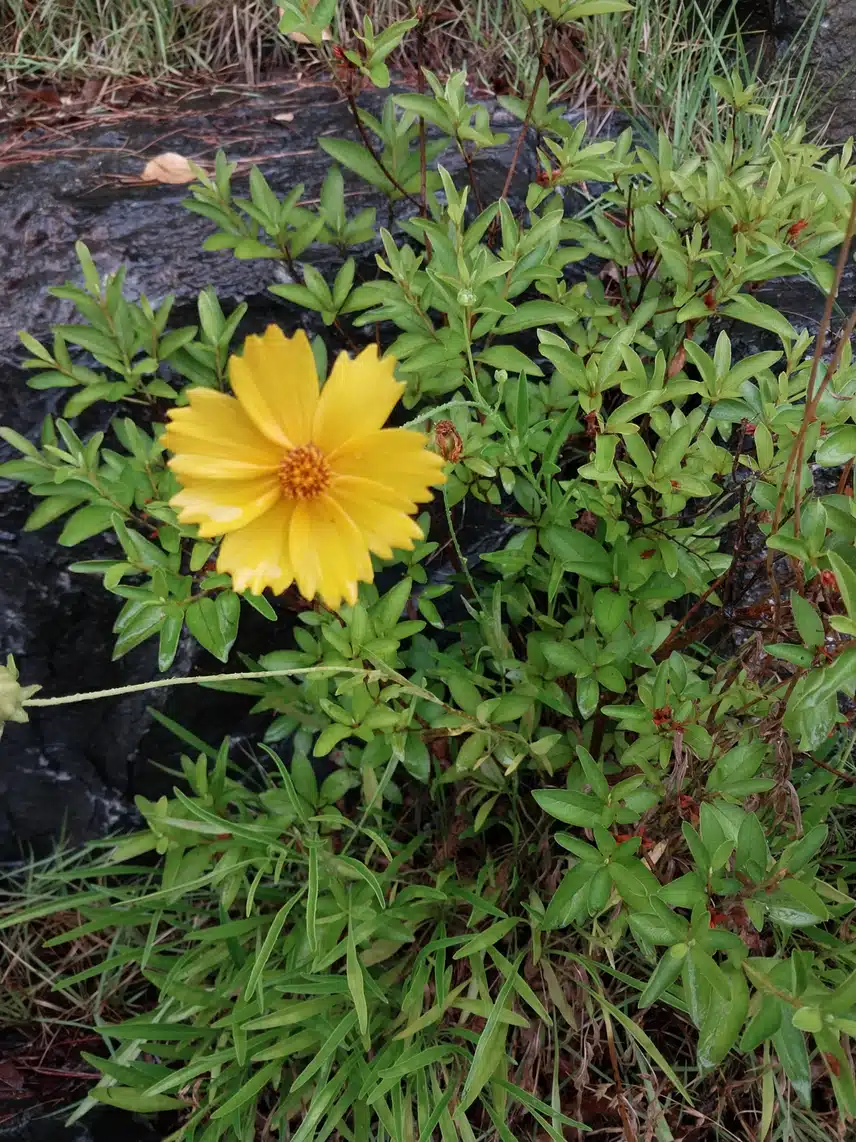 우중산책 다녀왔어요