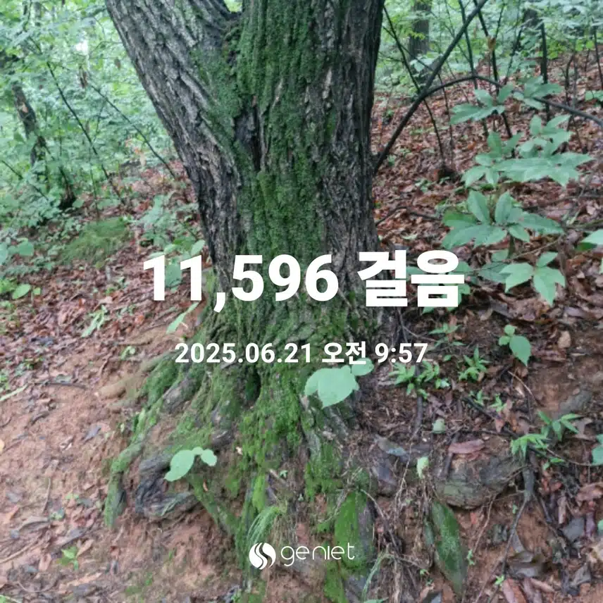 부드러운 황톳길 걷고 왔어요
