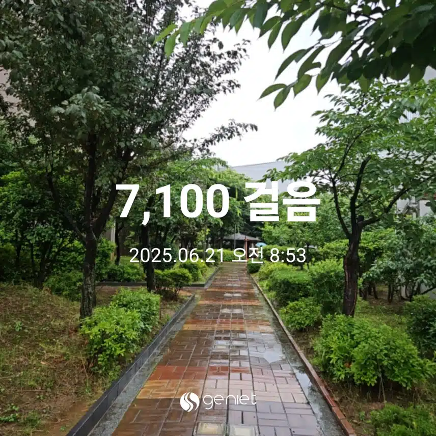 오전 산책으로 🌳 