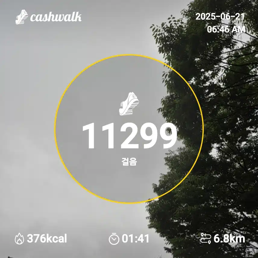 만보 걷기 