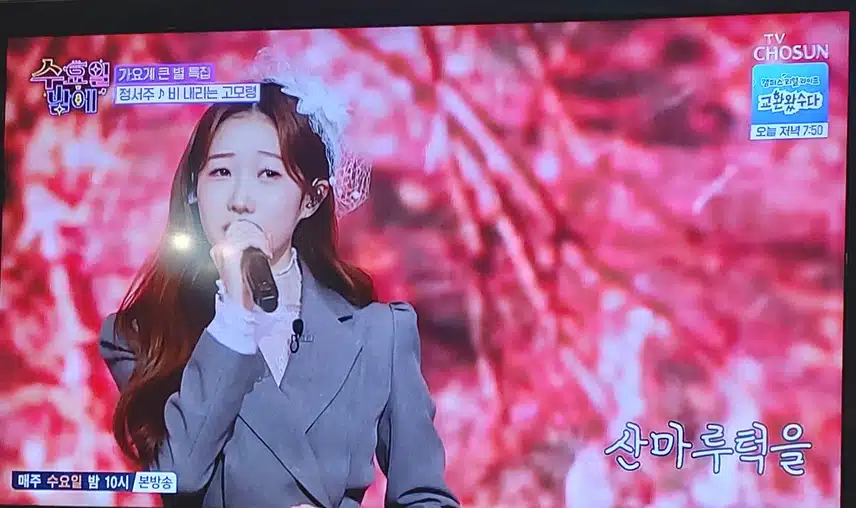 전서주양의비내리는 고모령 무대 너무 좋았어요 