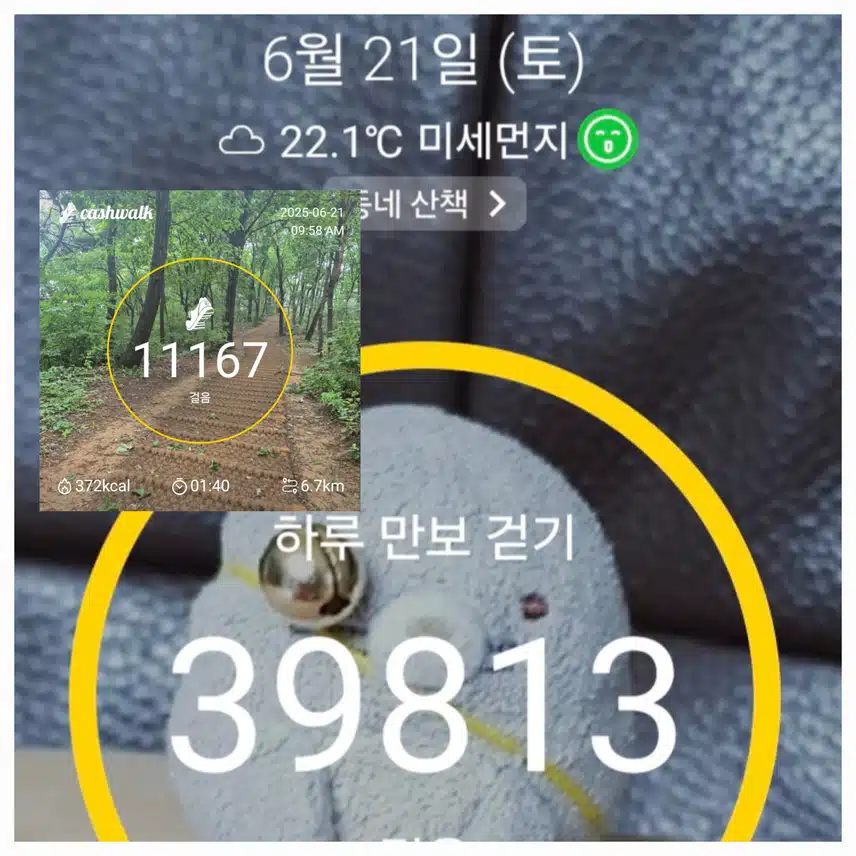 🤣바쁘게 움직인 토요일~만보걷기 완료 ~🤪