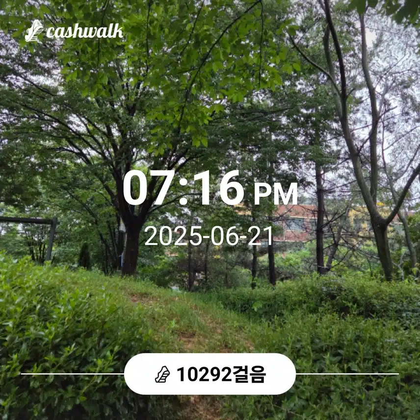 만보 걸었어요 