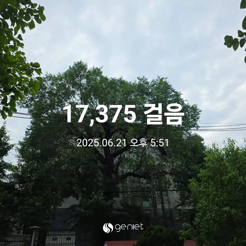 토요일 마무리 